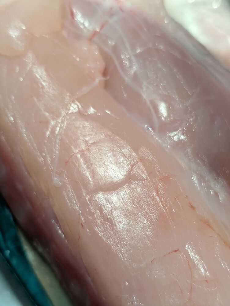 画像10024