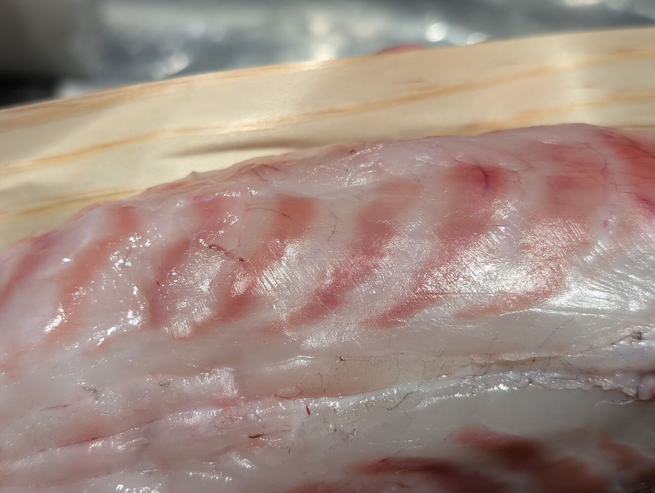 画像10241