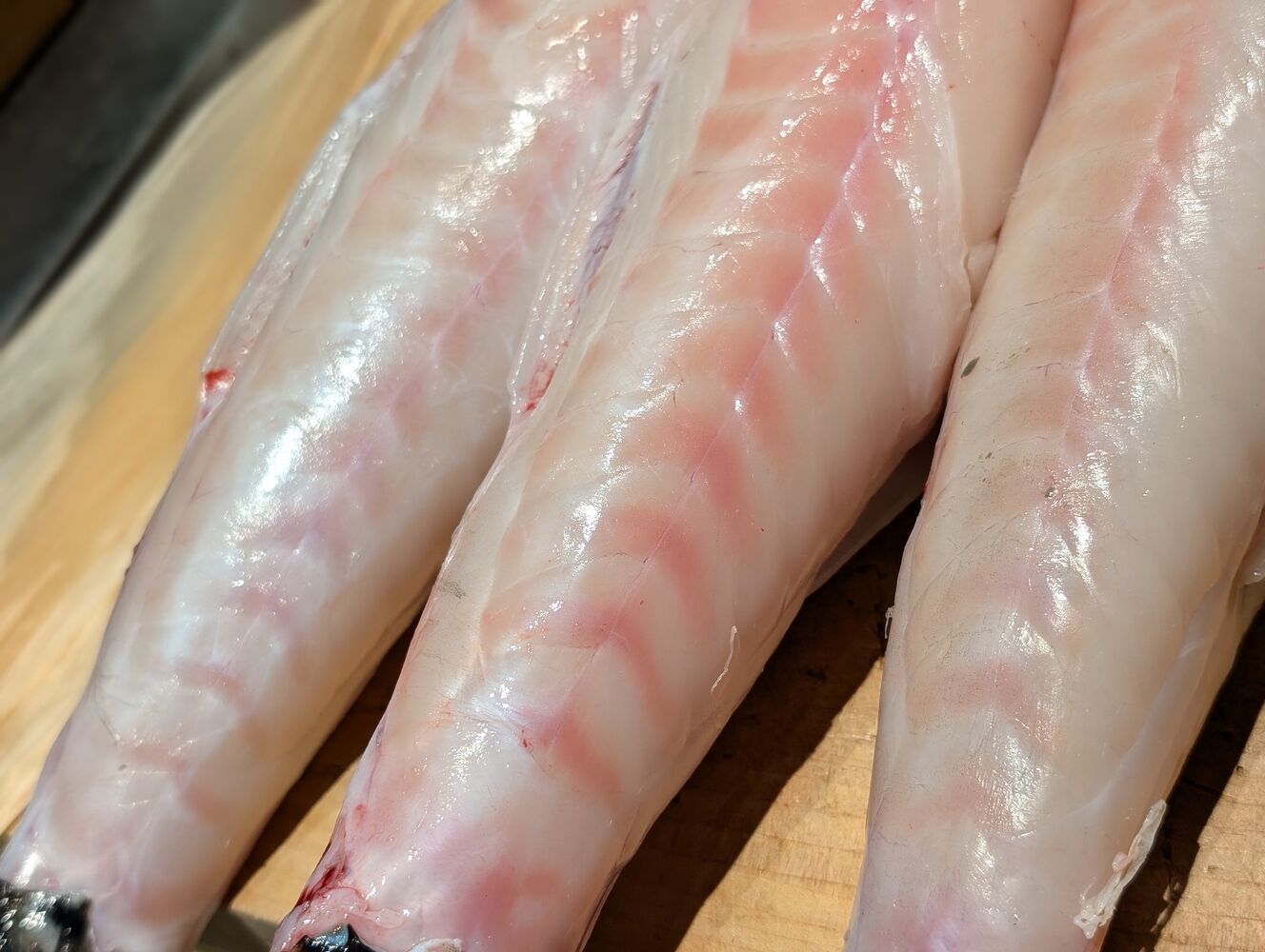 画像10577