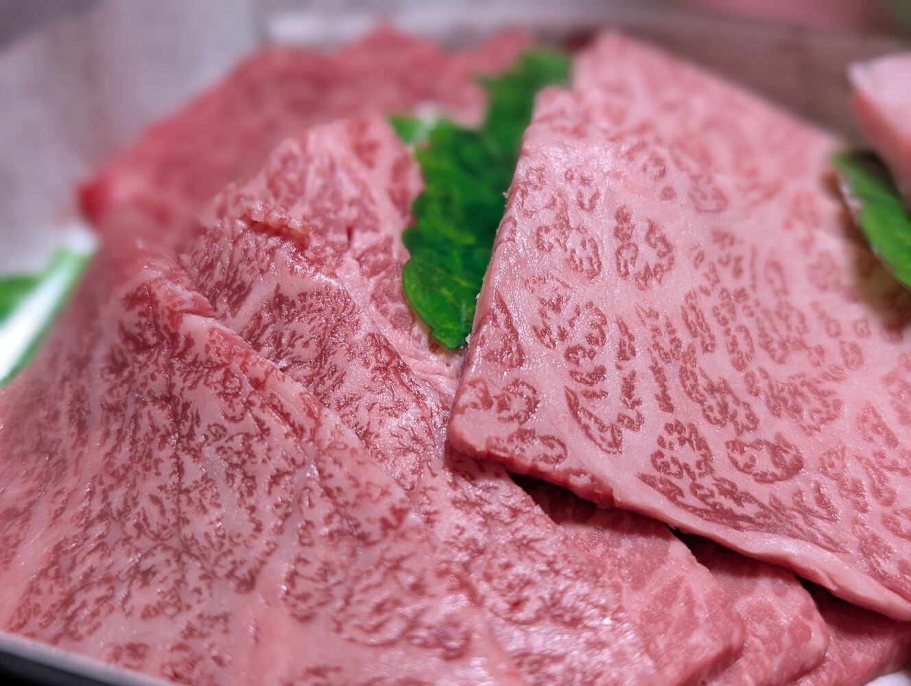 画像14041