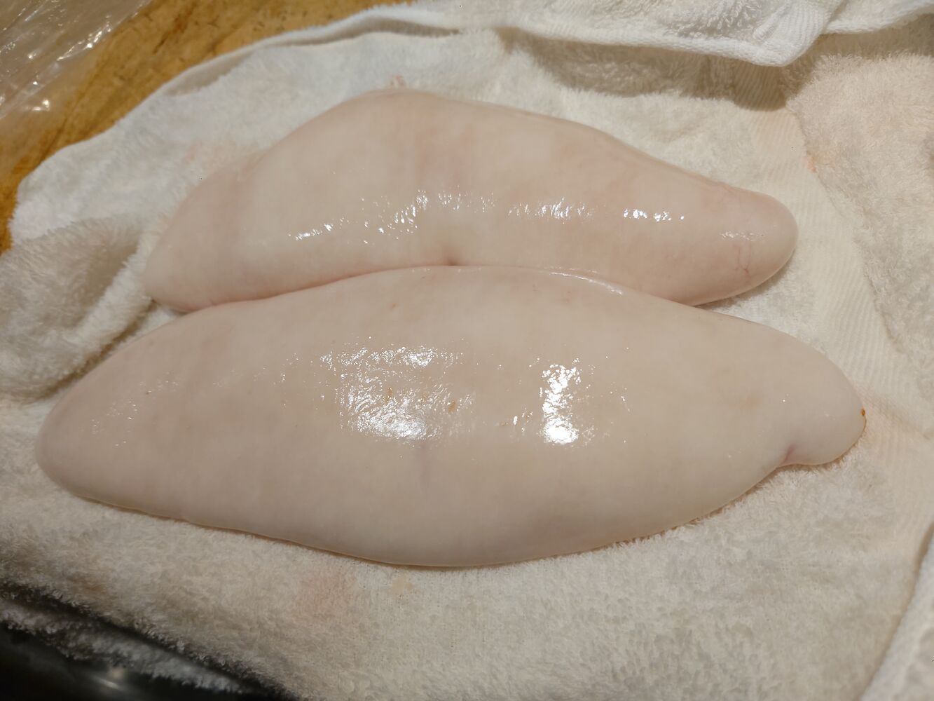 画像1589