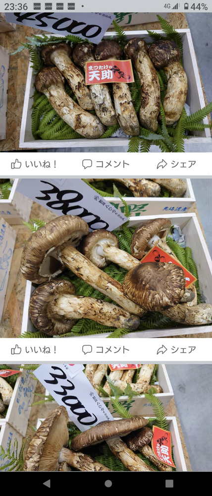 画像2391