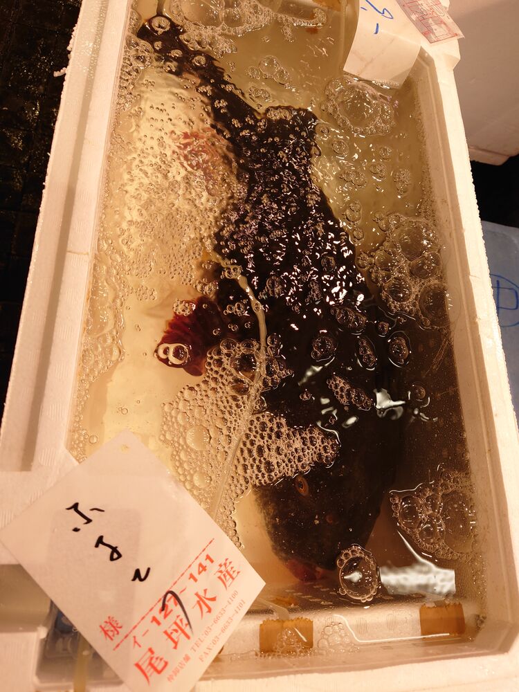 画像2392