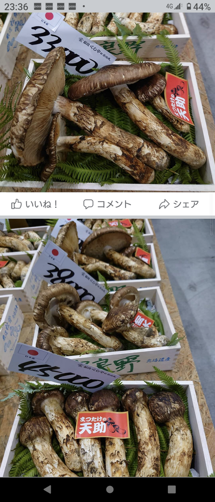 画像2393