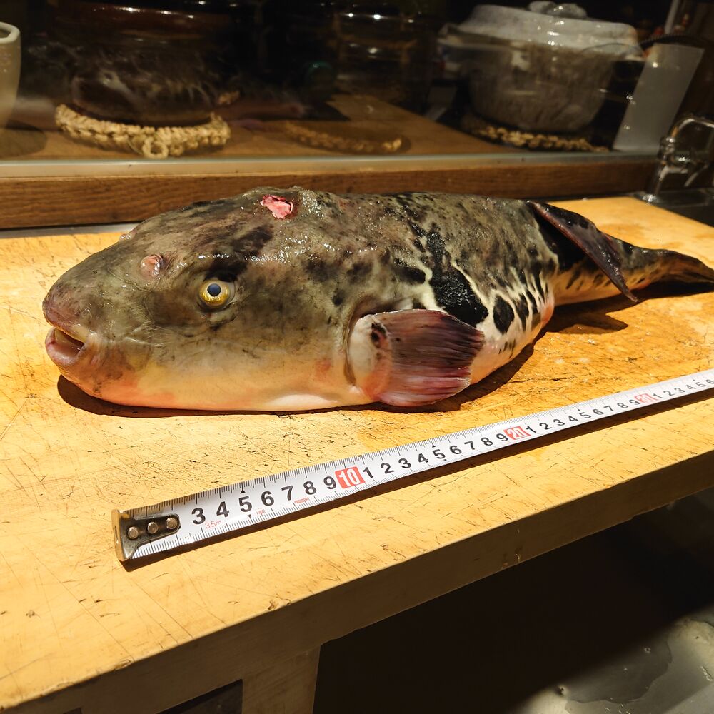 画像2501