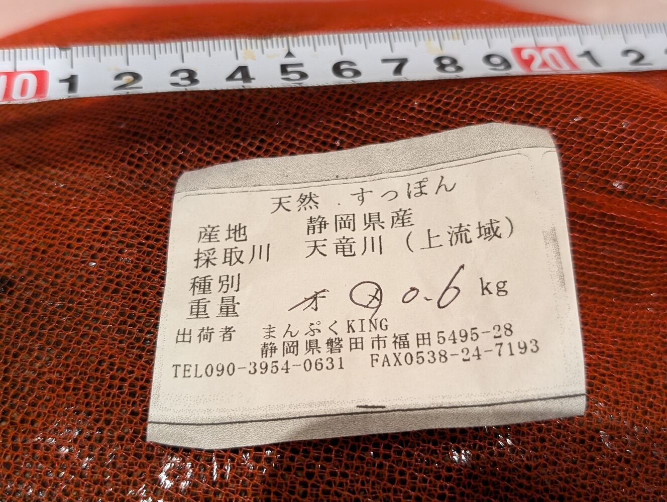 画像2848
