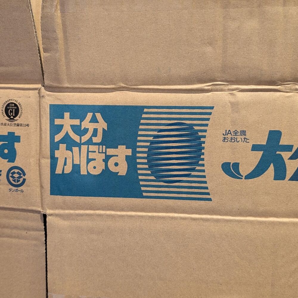 画像3716