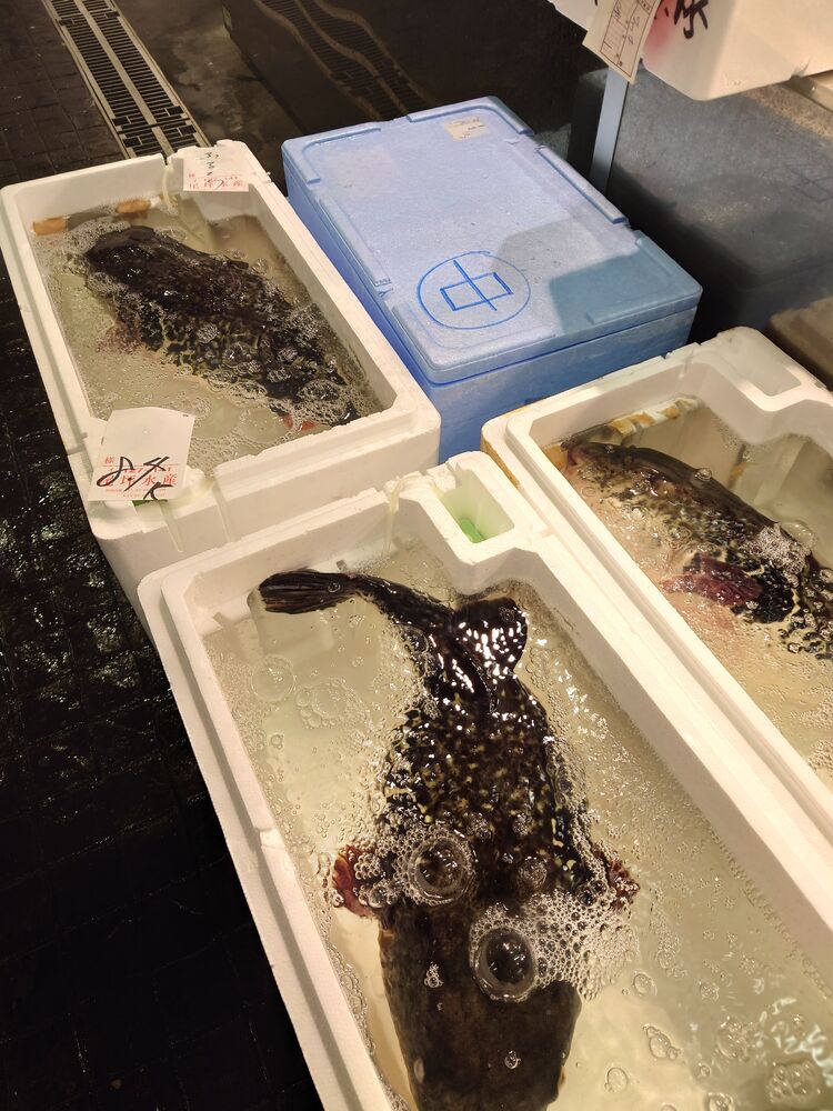 画像3964