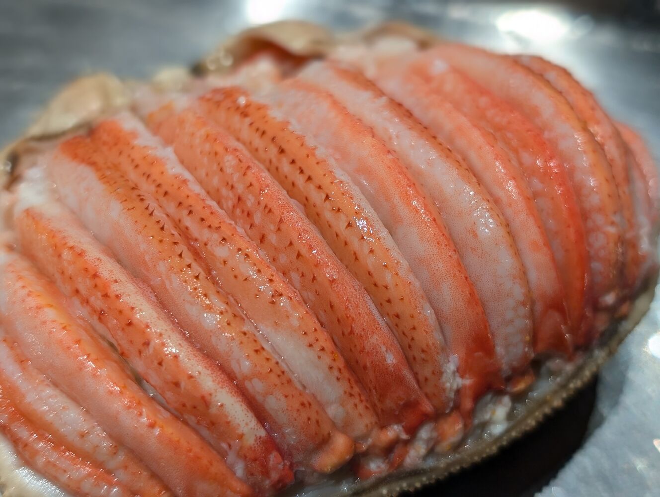 画像4202