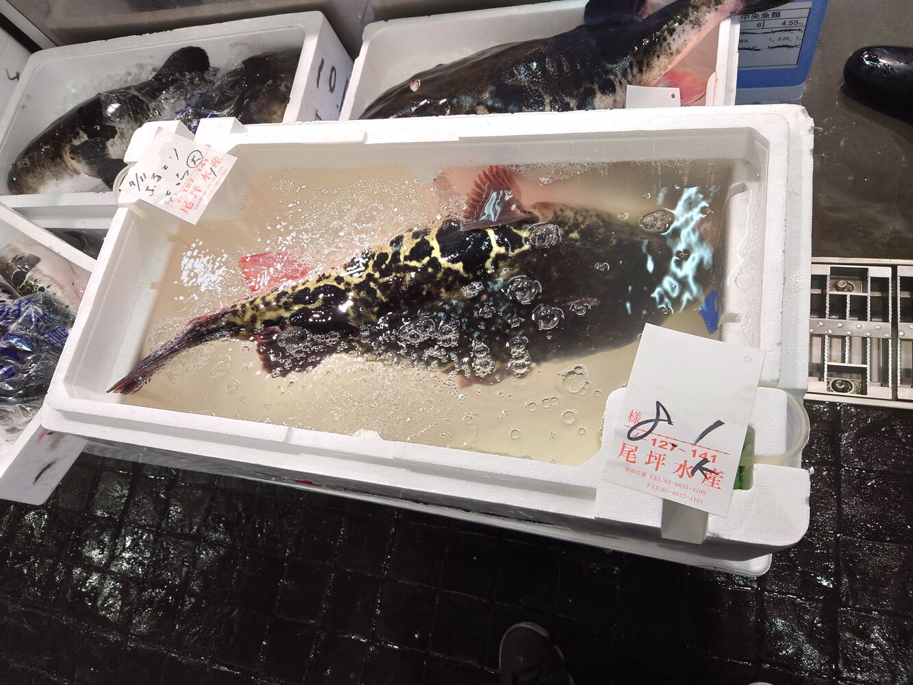 画像4297