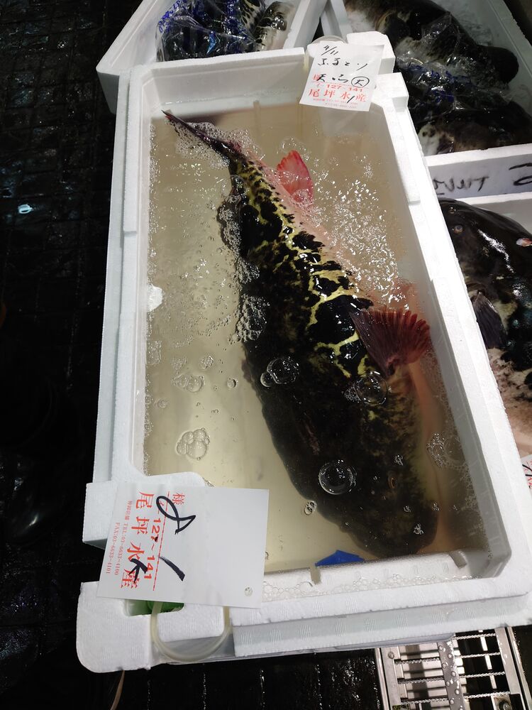 画像4299