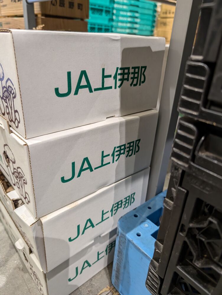 画像4358