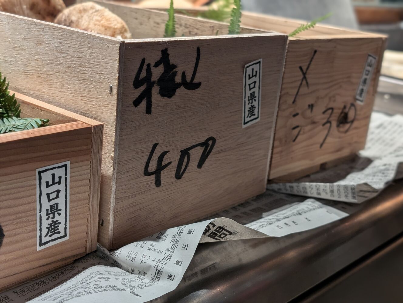 画像5301