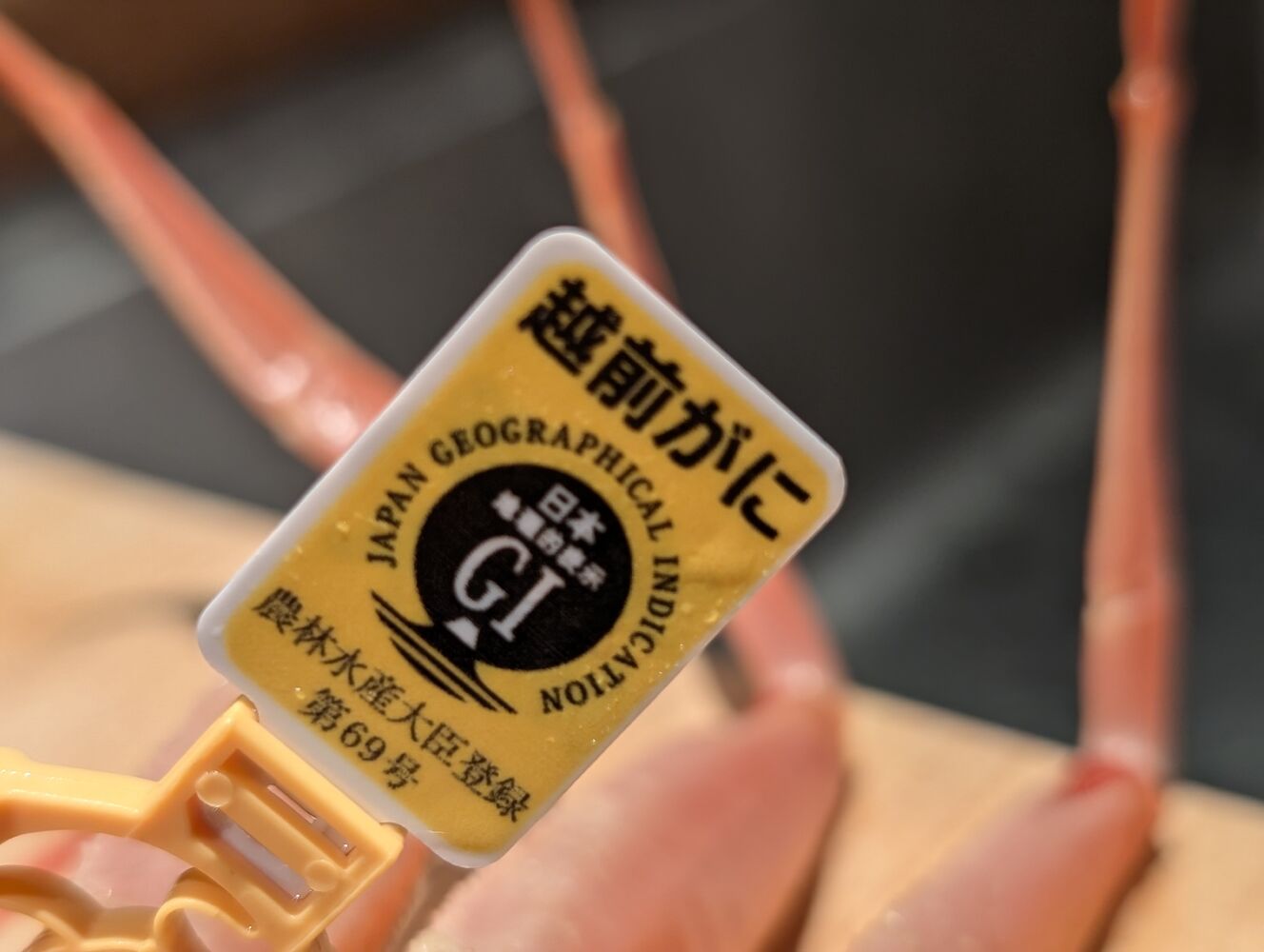 画像5515