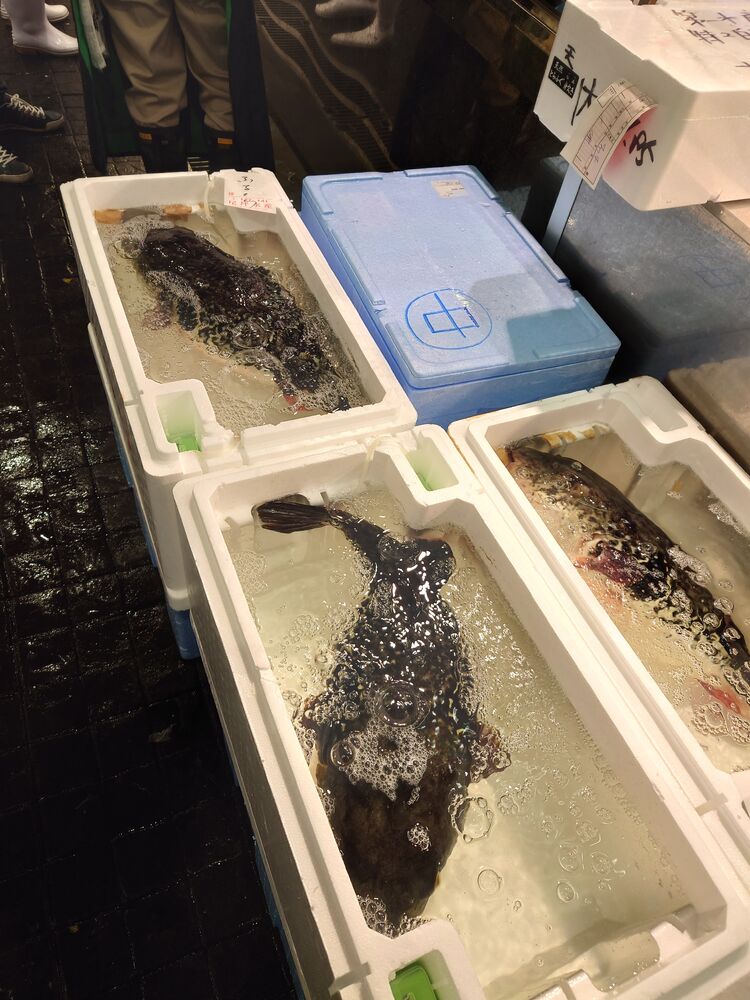 画像6821