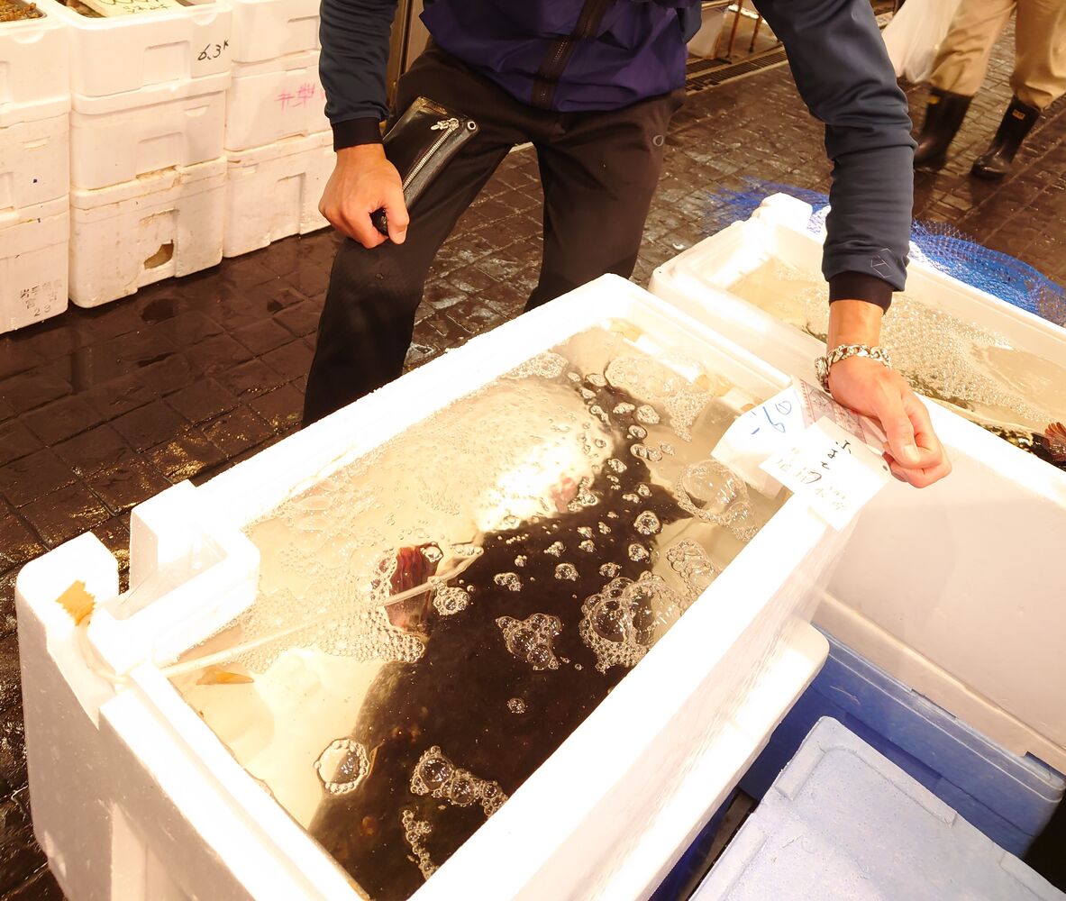 画像7030